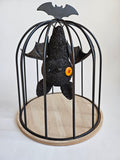 Hanging Bat in Cage