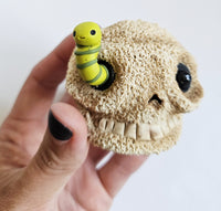 Skull with Worm