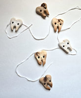 Teeth Magnets