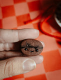 Coffee Bean