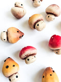 Mushroom Magnets